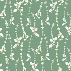 Basil seamless pattern. Design for fabric, wallpaper, textile, surface, packaging