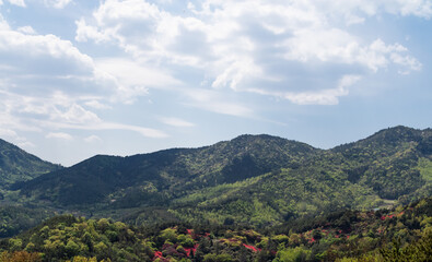 Nature landscape on a fine day. Mountains covered with blue sky, puffy clouds and green vegetation.