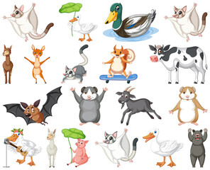 Set of different kinds of animals