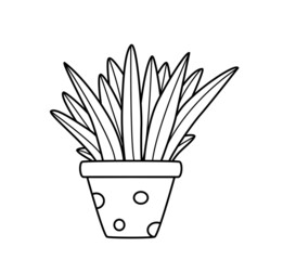Aloe vera flower in a pot, vector illustration of the contour of a doodle plant, landscaping of the room.