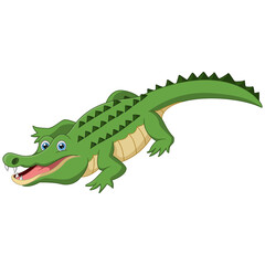 Cute alligator cartoon on white background