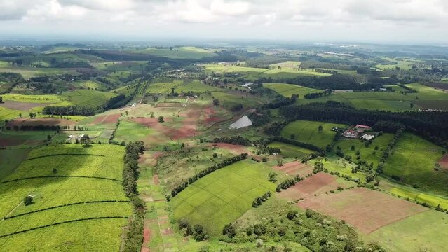 Limuru tea plantation in Kenya, Africa. Aerial wide panorama reveal landscape famous for tea production.