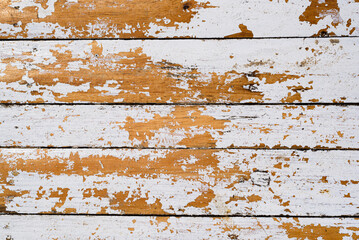 Wood Texture Background