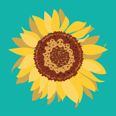Sunflower simple flat