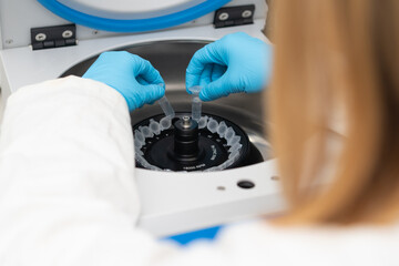Laboratory worker puts chemical tubes into the centrifuge. Biochemistry and research laboratory concept. DNA and pharmaceutical analysis. 