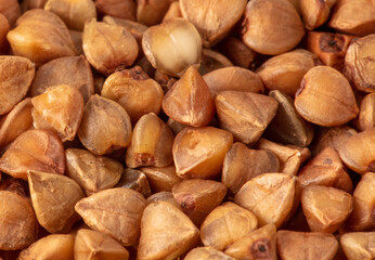 Close-up of buckwheat groats as background.