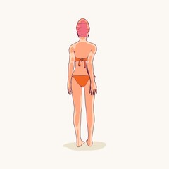 Illustration of a beautiful fashion model posing in a stylish swimsuit. Young attractive woman in bikini. Sketch style outline. Back view