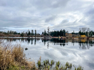 Fototapeta premium Larsen Lake Blueberry Farm