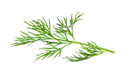 Dill Sprigs Isolated