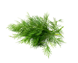 Dill Sprigs Isolated