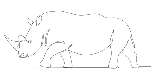rhinoceros continuous line drawing, sketch, vector