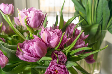 Tulip Bouquet, Spring Tulipa Flowers