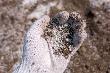 Farmer holding granular NPK soil fertilizer in hand