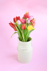 Beautiful colorful fresh mix tulips flower bunch in metal pot on pink gradient background . Spring flower, idea card, invitation  for any anniversary concept.