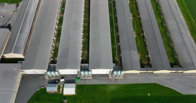 Chicken houses in USA. Factory farm barns for poultry egg laying production in America. Aerial tilt up of massive facility.