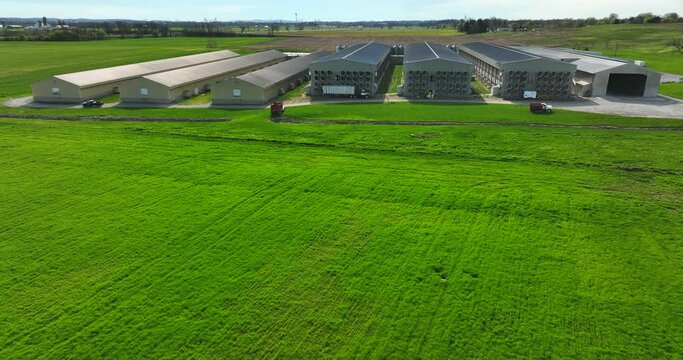 Chicken house, hens egg laying production factory farm in USA. Aerial of barns for poultry operation and broiler houses. Egg production in America.