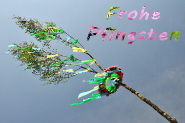 Frohe Pfingsten - Brauchtum, eine grüne Birke geschmückt mit bunten Bändern vor blauen Himmel