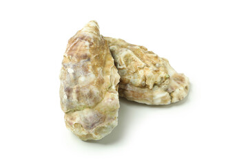 Concept of delicious seafood, oysters isolated on white background
