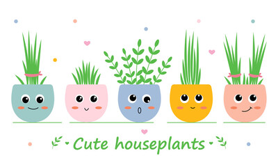 Set of cute houseplants in cartoon style with different fun emotions. Vector illustration