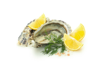 Concept of delicious seafood, oyster, isolated on white background