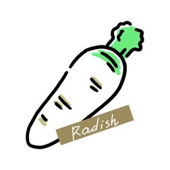 大根のイラスト