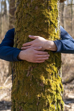 Young man hugging tree on sunny day