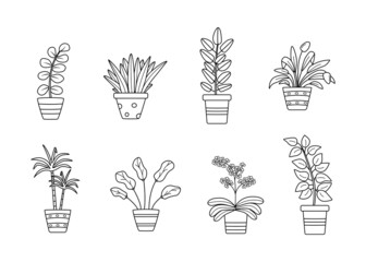 Potted flowers, vector illustration set contour doodle icons, ficus, dracaena, orchid.