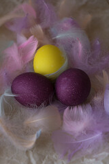 Easter eggs in purple and yellow in colored feathers.