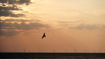 Fototapeta na wymiar A wind mill farm for the northsea coast of the Netherlands