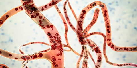 Blood vessel with flowing blood cells, 3D illustration