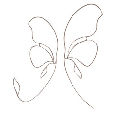 Botanical illustration. Aconitum line art