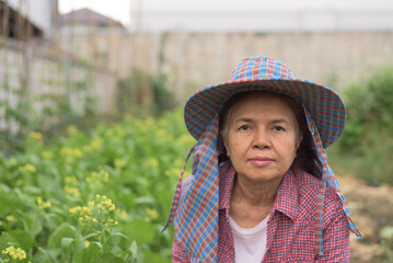 Front view, close-up portrait with copy space of an old, serious senior Asian female farmer wearing hat and red shirt, looking at camera, at vegetable garden. Farmer, worker, retired lifestyle concept