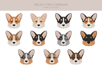 Welsh corgi cardigan clipart. Different poses, coat colors set