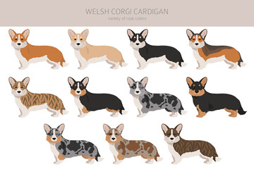 Welsh corgi cardigan clipart. Different poses, coat colors set