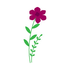 Flower icon design template ilustration vector