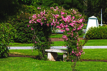Fototapeta na wymiar white bench in the garden