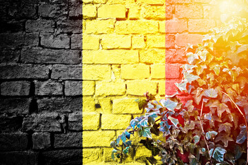 Belgium grunge flag on brick wall with ivy plant sun haze view