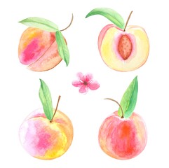 Set of watercolor peaches with leaves.