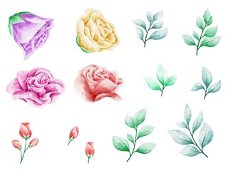 Flower Watercolor Set Rose for Wedding Card Design