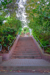 Fototapeta premium Staircase on a slope in the middle of trees and plants at San Francisco, California