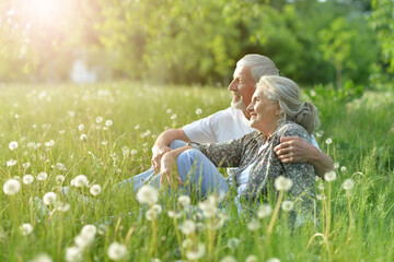 Naklejka na ściany i meble happy senior couple possing on grass