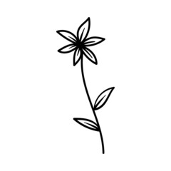 Flower outline icon design template ilustration vector