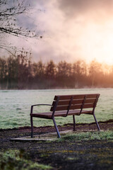 Empty meatal and plastic bench in a park, Green grass field out of focus in the background. Sunset sky with sun flare