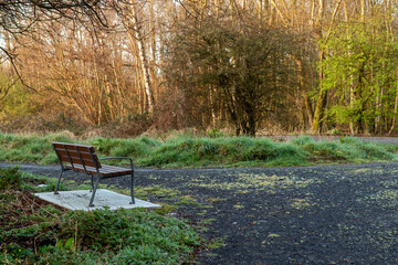 Brand new brown bench with metal frame and plastic parts installed on a concrete base by a small footpath in a park. Solid and practical design. Nobody