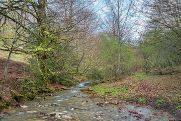 Aizaldera stream. Aria. Aezkoa