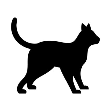 Cat icon design ilustration template vector