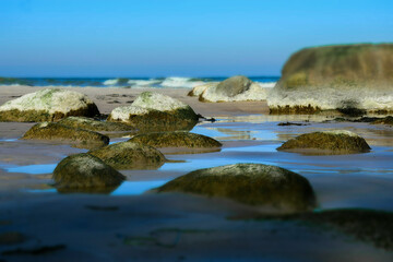 Fototapeta na wymiar Algenbewachsene Steine an einem Strand