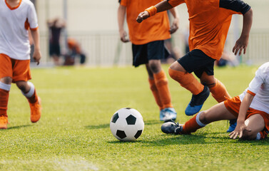 Group of multi-ethnic children playing soccer game. Young boys running after soccer ball on grass...