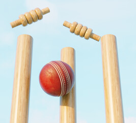 Cricket Wicket Stumps