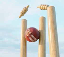 Cricket Wicket Stumps